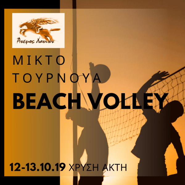 2019 beach volley